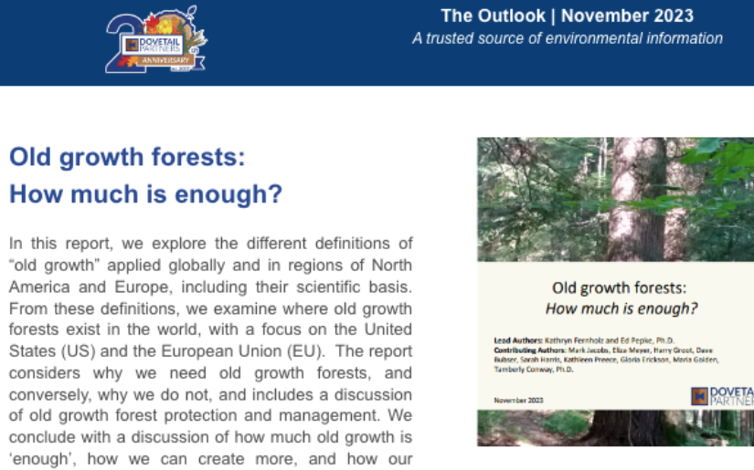 The Outlook, November 2023